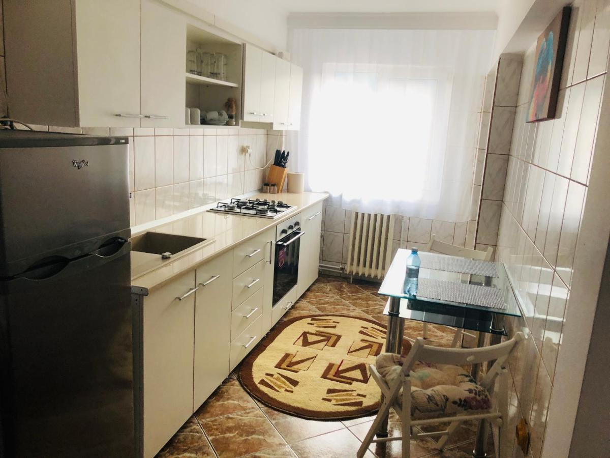 Ana-Maria Home Рымнику-Вылча Экстерьер фото