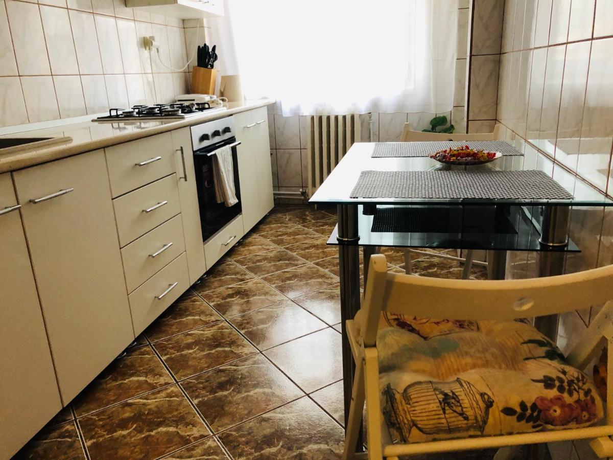 Ana-Maria Home Рымнику-Вылча Экстерьер фото