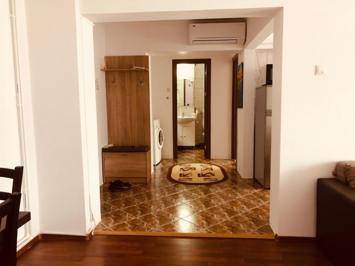 Ana-Maria Home Рымнику-Вылча Экстерьер фото